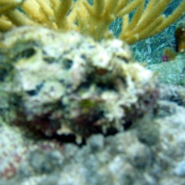 IMG_9458 IMG_9458
