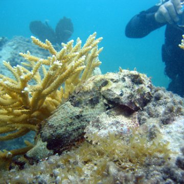 IMG_9460 IMG_9460