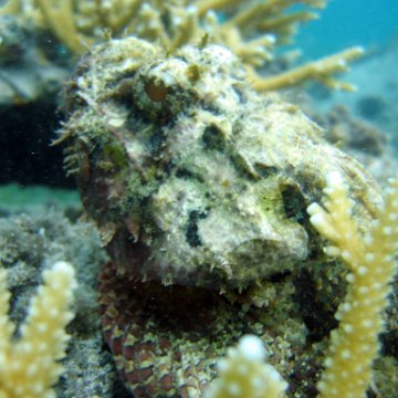 IMG_9465 IMG_9465