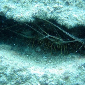IMG_9467 IMG_9467