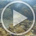 MVI_9418 MVI_9418