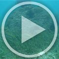 MVI_9440 MVI_9440