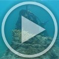 MVI_9441 MVI_9441