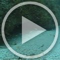MVI_9443 MVI_9443