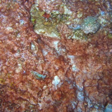 IMG_9019 IMG_9019