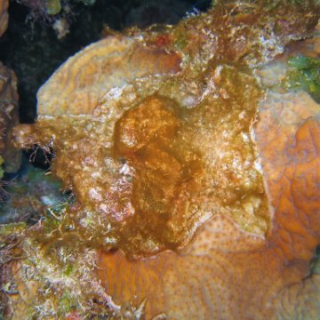 IMG_9029 IMG_9029