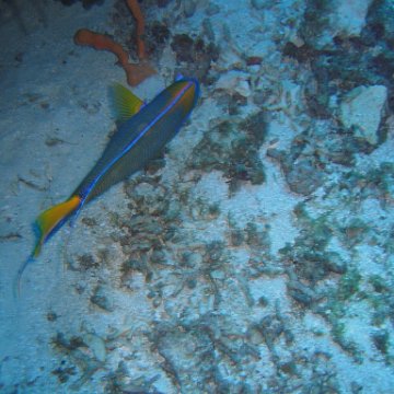 IMG_9033 IMG_9033