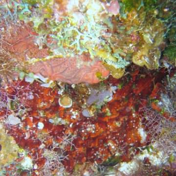 IMG_9040 IMG_9040