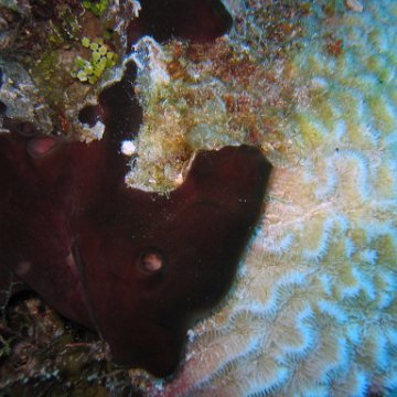 IMG_9042 IMG_9042