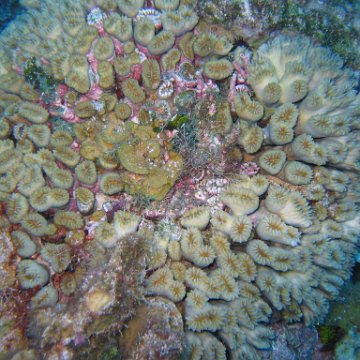 IMG_9045 IMG_9045