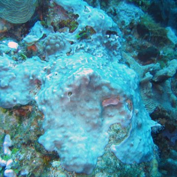 IMG_9048 IMG_9048