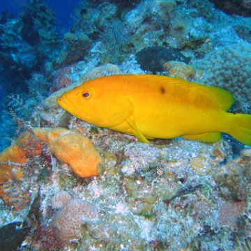 IMG_9056 IMG_9056