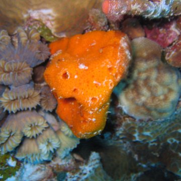 IMG_9060 IMG_9060
