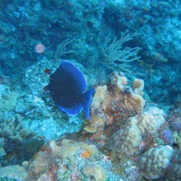 IMG_9062 IMG_9062