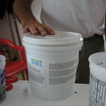 cozumelcoralpropproject2007javertake 122 cozumelcoralpropproject2007javertake 122