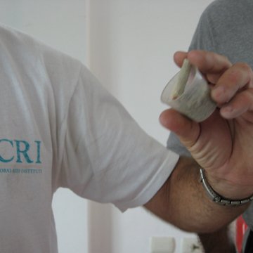 cozumelcoralpropproject2007javertake 130 cozumelcoralpropproject2007javertake 130