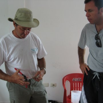 cozumelcoralpropproject2007javertake 134 cozumelcoralpropproject2007javertake 134