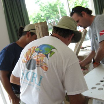 cozumelcoralpropproject2007javertake 158 cozumelcoralpropproject2007javertake 158