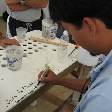 cozumelcoralpropproject2007javertake 163 cozumelcoralpropproject2007javertake 163