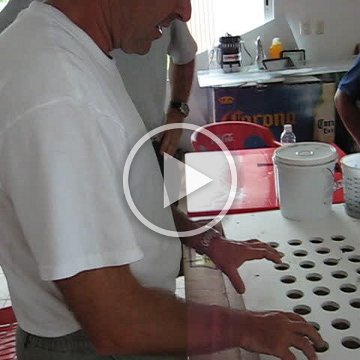 cozumelcoralpropproject2007javertake 200 cozumelcoralpropproject2007javertake 200