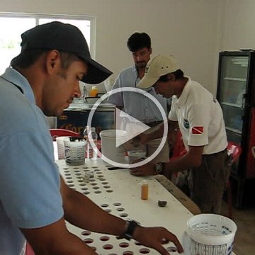 cozumelcoralpropproject2007javertake 201 cozumelcoralpropproject2007javertake 201