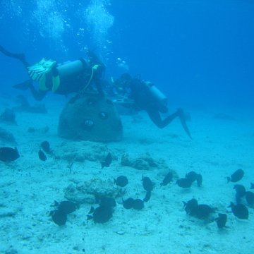 IMG_8903 IMG_8903