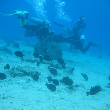 IMG_8904 IMG_8904
