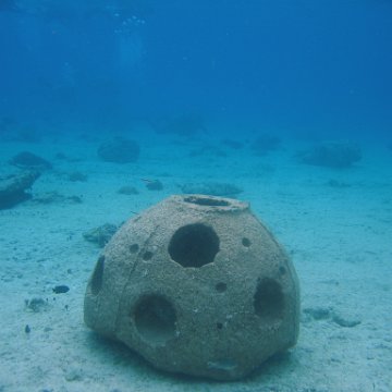 IMG_8905 IMG_8905