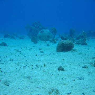IMG_8913 IMG_8913