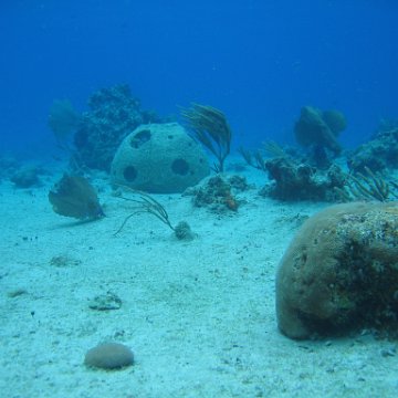 IMG_8914 IMG_8914