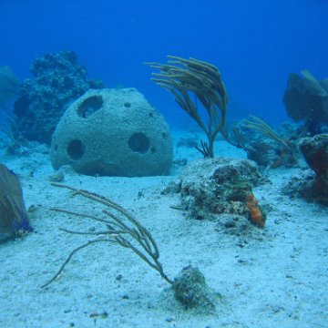 IMG_8915 IMG_8915
