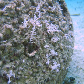 IMG_8920 IMG_8920
