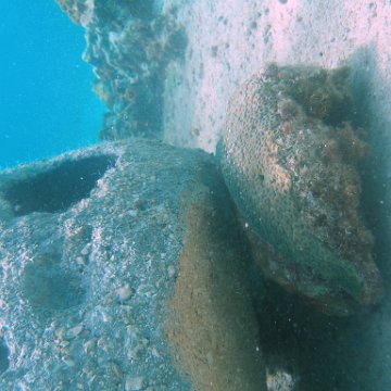 P6140142 P6140142