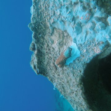 P6140161 P6140161