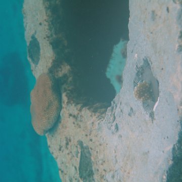 P6140172 P6140172