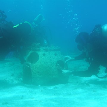 P6140186 P6140186