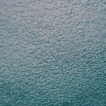 P6150204 P6150204