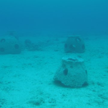 P6150208 P6150208