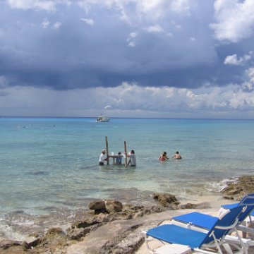 cozumelcoralpropproject2007javertake 047 cozumelcoralpropproject2007javertake 047