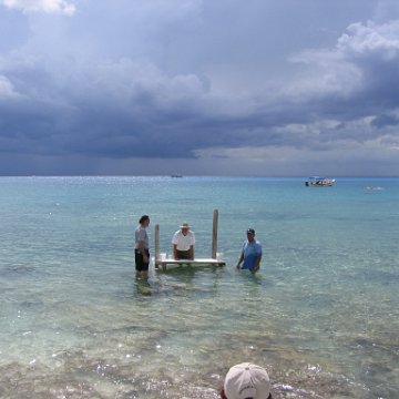 cozumelcoralpropproject2007javertake 050 cozumelcoralpropproject2007javertake 050