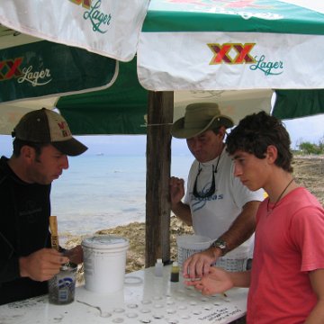 cozumelcoralpropproject2007javertake 054 cozumelcoralpropproject2007javertake 054