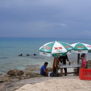 cozumelcoralpropproject2007javertake 056 cozumelcoralpropproject2007javertake 056