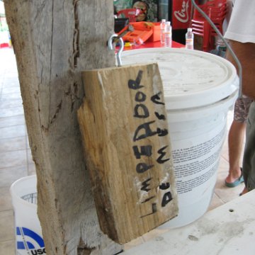 cozumelcoralpropproject2007javertake 175 cozumelcoralpropproject2007javertake 175