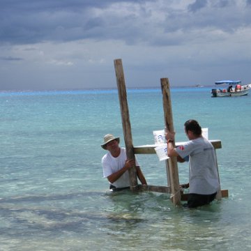 cozumelcoralpropproject2007javertake 178 cozumelcoralpropproject2007javertake 178