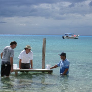 cozumelcoralpropproject2007javertake 179 cozumelcoralpropproject2007javertake 179