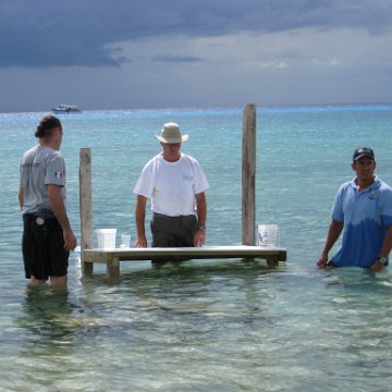 cozumelcoralpropproject2007javertake 181 cozumelcoralpropproject2007javertake 181