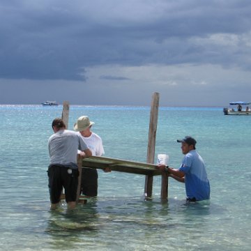 cozumelcoralpropproject2007javertake 183 cozumelcoralpropproject2007javertake 183