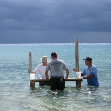 cozumelcoralpropproject2007javertake 184 cozumelcoralpropproject2007javertake 184