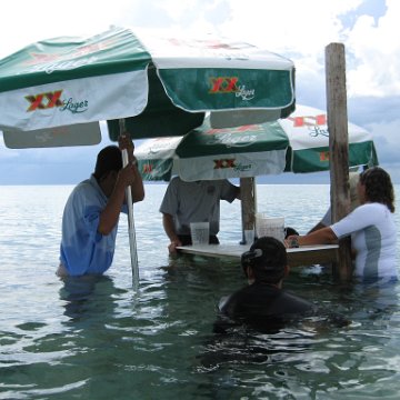 cozumelcoralpropproject2007javertake 188 cozumelcoralpropproject2007javertake 188