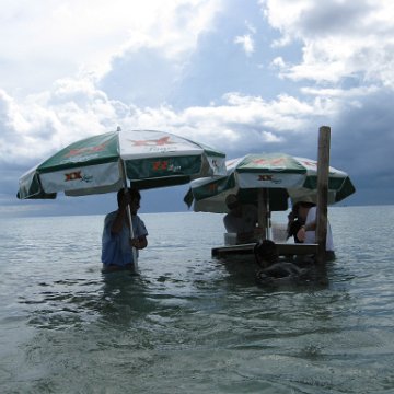 cozumelcoralpropproject2007javertake 190 cozumelcoralpropproject2007javertake 190